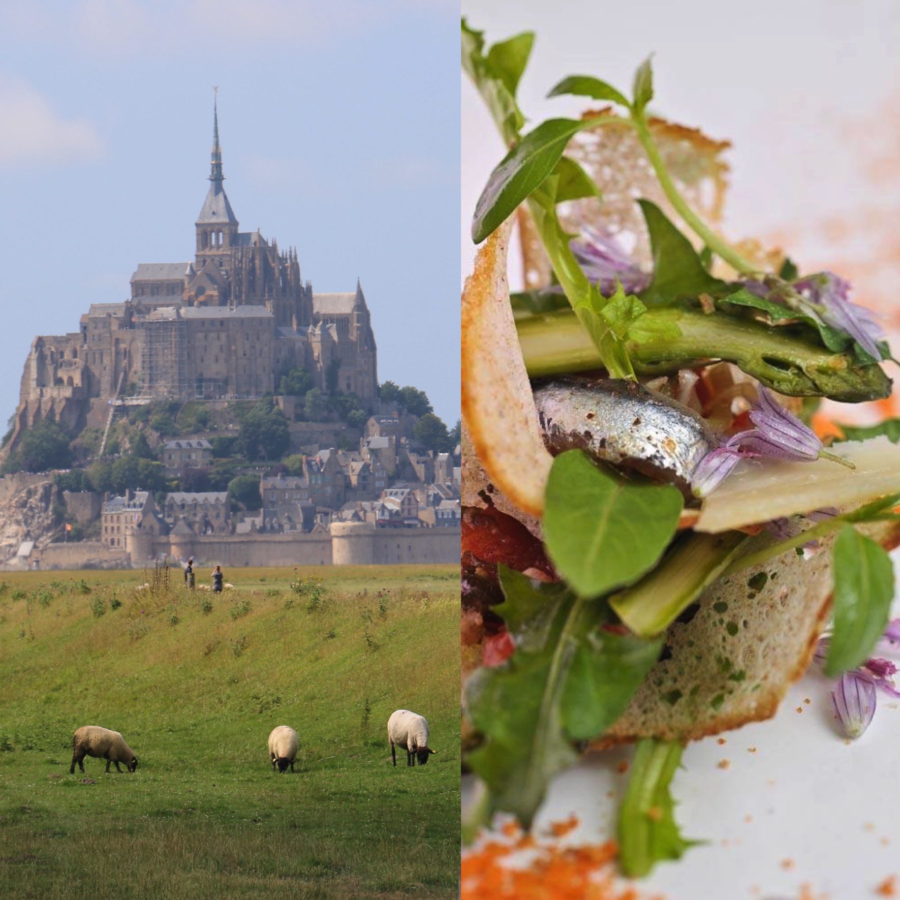 cooking vacations in france
