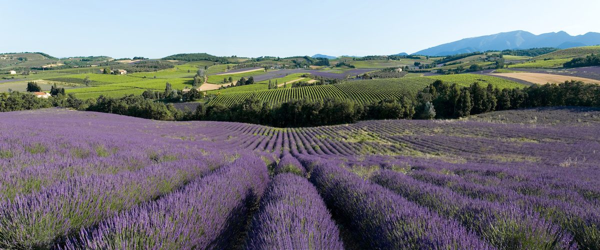 Lifestyle Vacations Provence Tour