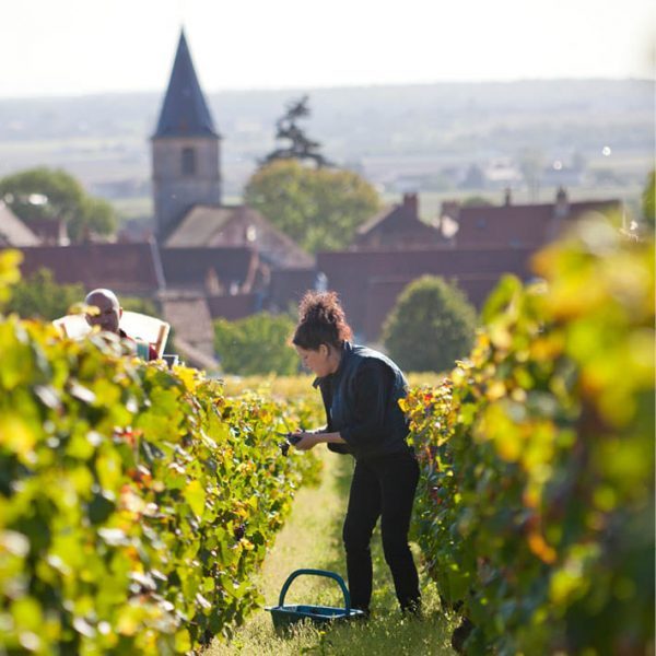 cooking vacations in France