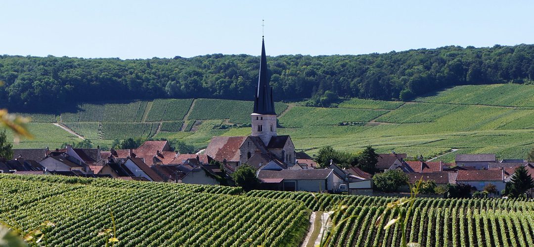 Cooking Vacations & culinary tours in CHAMPAGNE