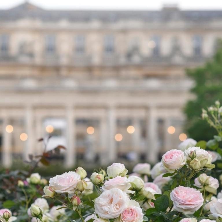 Cultural Tours in Paris