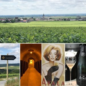 Champagne Premium Wine & Cultural Tour